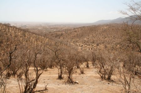 Die Landschaft ist vorwiegend sehr karg aber auch schÃ¶n anzusehen.