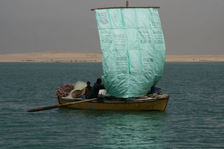 Das ganze Gegenteil - ein kleiner Warentransporter mit selbstgeklebten Segeln