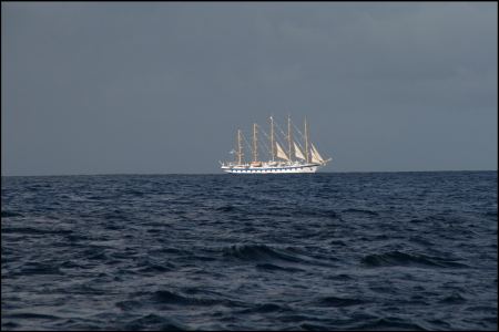1-begegnund-auf-dem-weg-nach-bequia.jpg