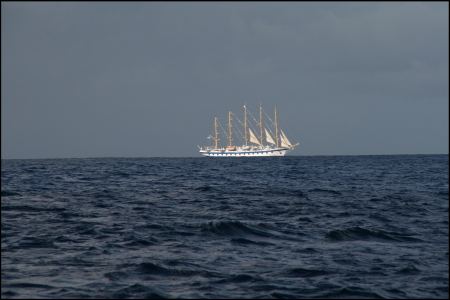 1-begegnund-auf-dem-weg-nach-bequia.jpg