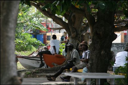 1-unter-riesigen-baumen-in-bequia.jpg