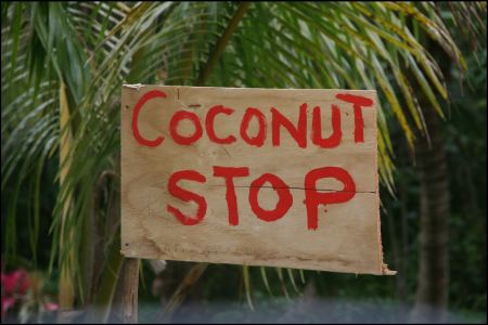 10-stop-coconut.jpg