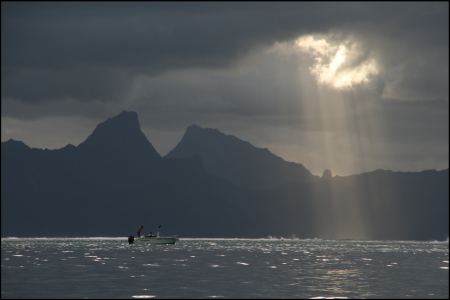 11-letzter-sonnenstrahl-vor-dem-regen.jpg