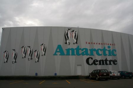 Christchurch, Antarctic Centre, hier gibt es sie endlich, die Pinguine, leider nur hinter Glas.