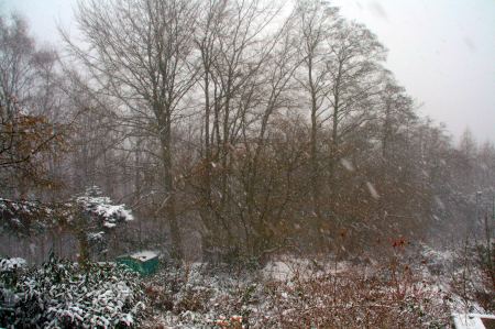 Bald kommt der erste Schnee. Weihnachten ....