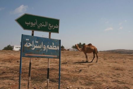 Wohin geht es hierr? Die StraÃŸenschilder sind in arabischen Schriftzeichen.