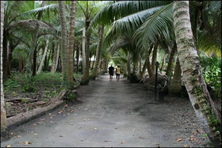 16-spaziergang-uber-die-insel.jpg