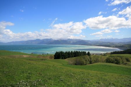 Kaikoura .....