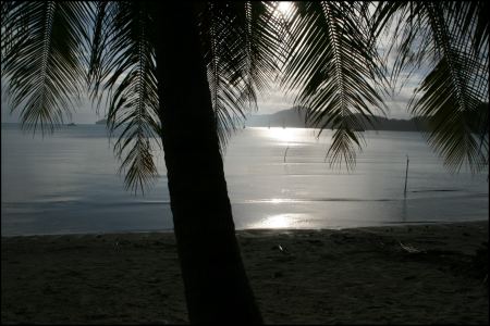 26-abenddammerung-am-picknickplatz.jpg