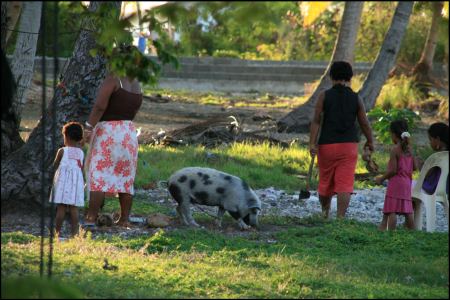 3-familienidylle-mit-schwein.jpg