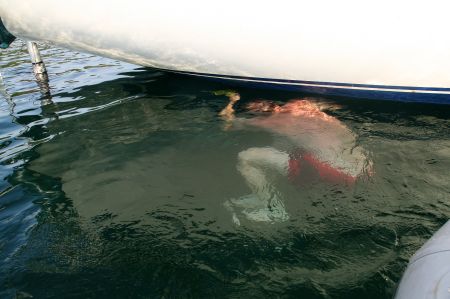 WÃ¤hrend der Fahrt hatten wir immer den Eindruck, dass das die Bootsschraube ein bisschen vibriert. Jaap lÃ¤ÃŸt das keine Ruhe und seine Kontrolle der Schraube lohnt sich.....