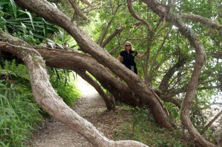 Osterspaziergang durch den Wald am Meer entlang