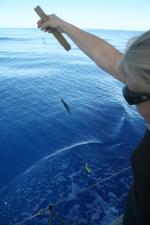 Eva versucht (erfolglos) einen der Fische zu fangen.