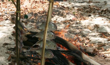 Die Ã„ste mit dem Fisch werden neben dem Feuer in den Boden gesteckt und so ...