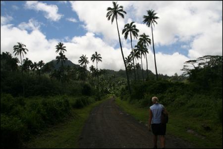 9-landschaft-wanderung.jpg