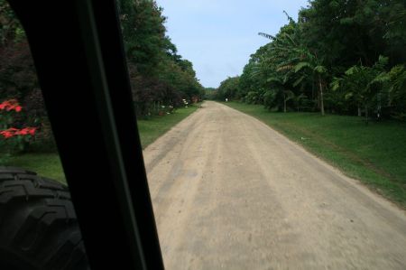 Es geht Ã¼ber nicht befestigte, von Ã¼ppigem GrÃ¼n gesÃ¤umten StraÃŸen