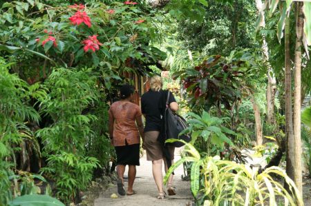 Die kleinen Bungalows stehen in einem paradisisch bewachsenen Garten.