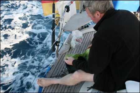 essensvorbereitung-salat-waschen-in-seewasser.jpg