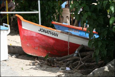 fischerboot-unter-mangro.jpg