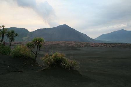 Die Landschaft um den Vulkan wird immer karger, je nÃ¤her man kommt.