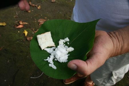 Yamwurzel mit Kokosraspel