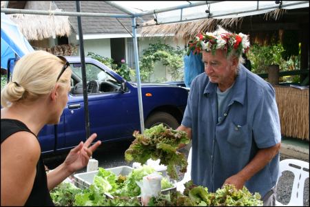 markt-frischer-salat.jpg