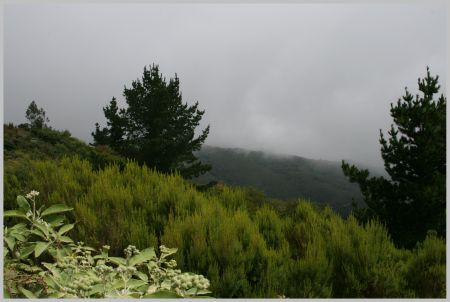 natur.jpg