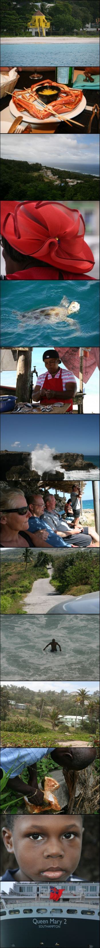 panorama-barbados.jpg