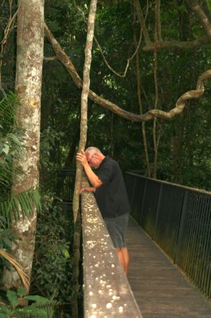 Durch den REgenwald fÃ¼hrt ein Weg. Man sieht riesige Lianen und unwillkÃ¼rlich fÃ¤llt uns Tarzan ein.